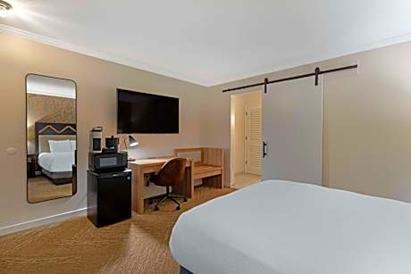 Queen Room with Roll-In Shower - Mobility Accessible/Non-Smoking