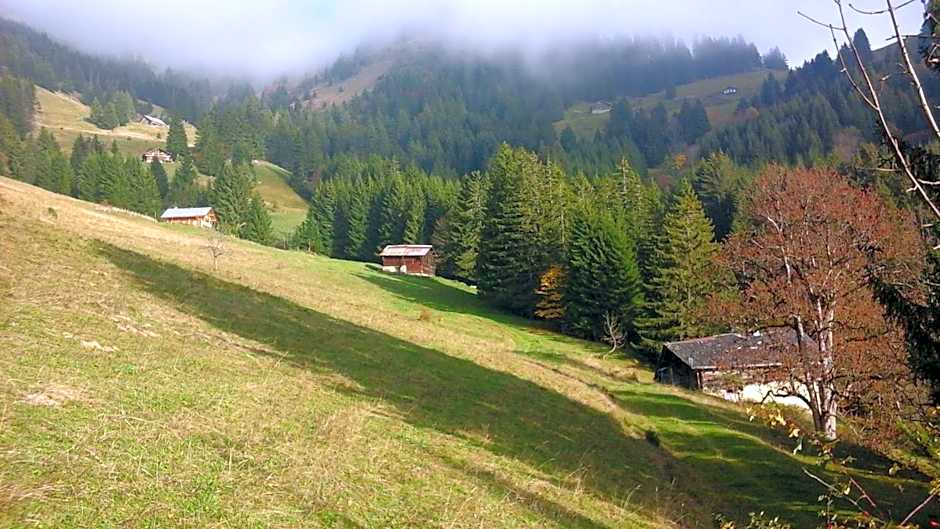 CHAMBRE d'HÔTE LA PETITE BERGERIE