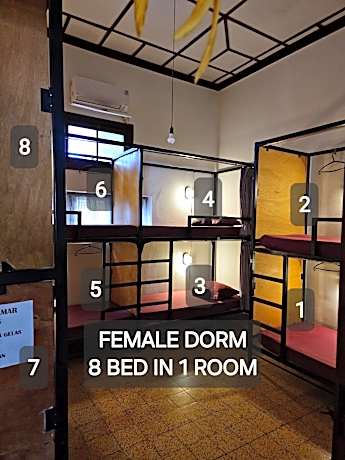 Bed in 8-Bed Dormitory Room