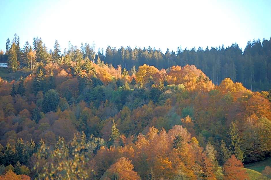 Gasthaus Schäfli