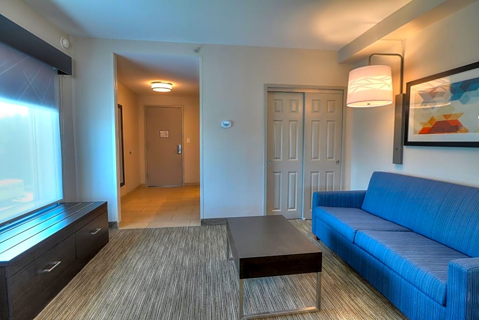 Holiday Inn Express Hotel & Suites Mobile Saraland By IHG