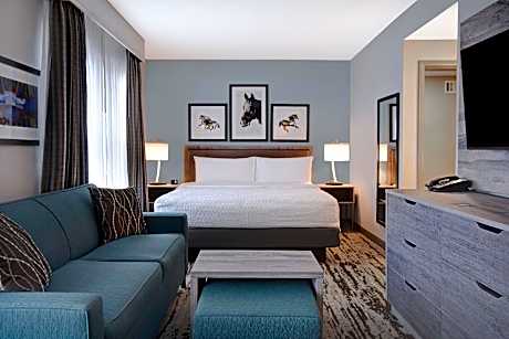 1 King Bed Studio Suite Nonsmoking