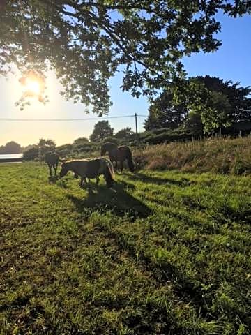 Les Fermes de Kercadoret