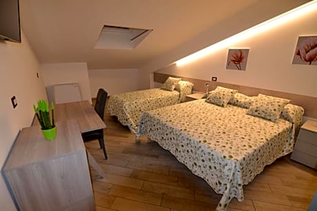 Triple Room with Private Bathroom