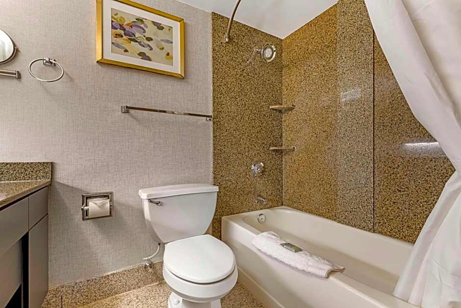 Brooklyn Center Hotel & Conference Center
