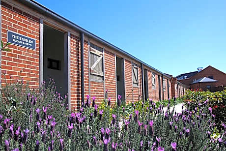 Dusty Hill Vineyard - Moffatdale