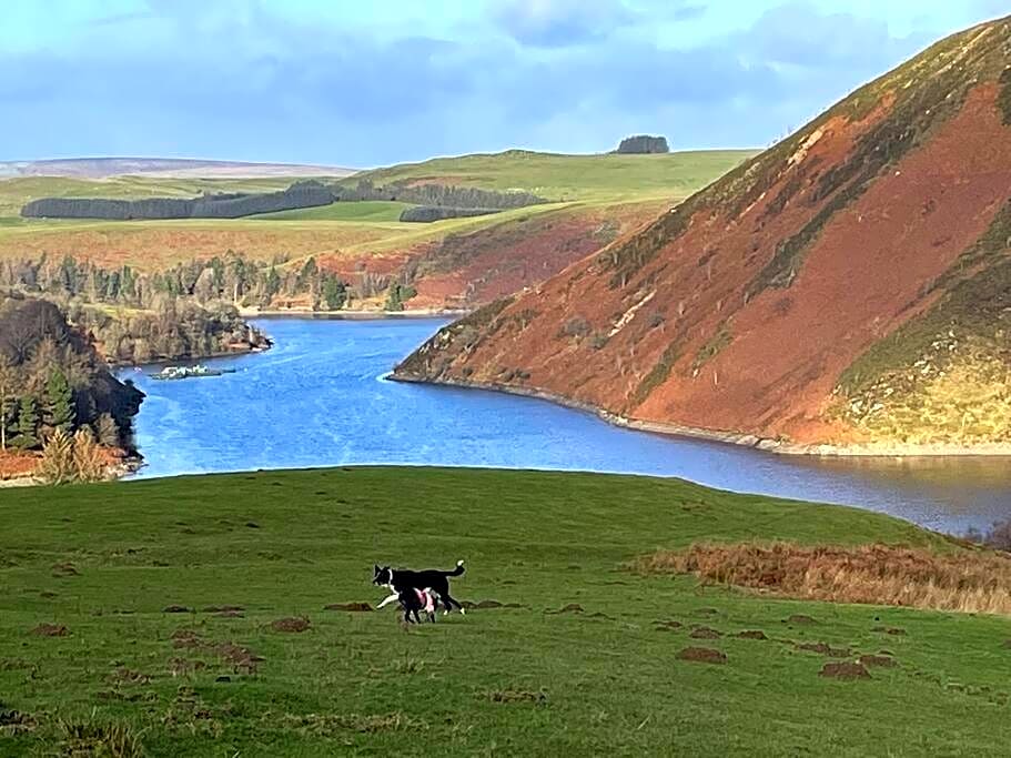 Y Felin Bed and Breakfast and Smallholding