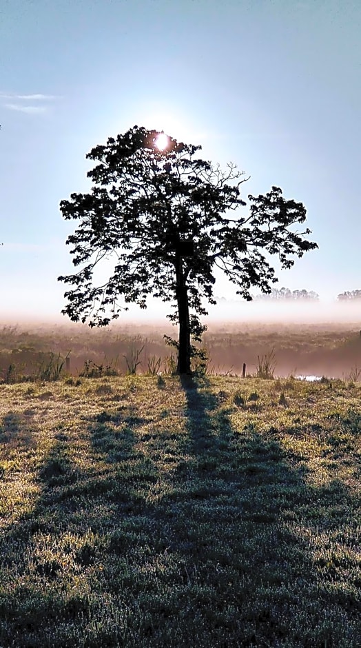 B&Bslapenopeeneiland