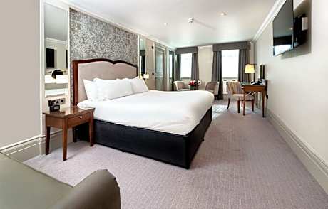 Superior King Guest Room