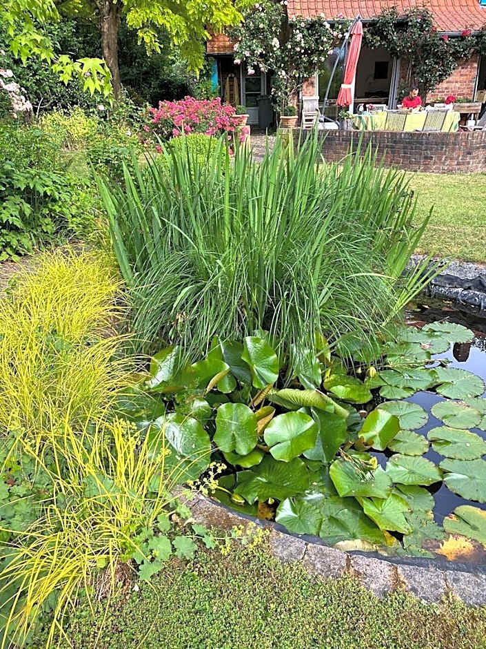 A la Maison du Héron