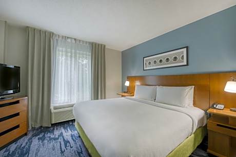 Room, 1 King Bed (Mobility Accessible, Roll-in Shower) (1 King Bed)