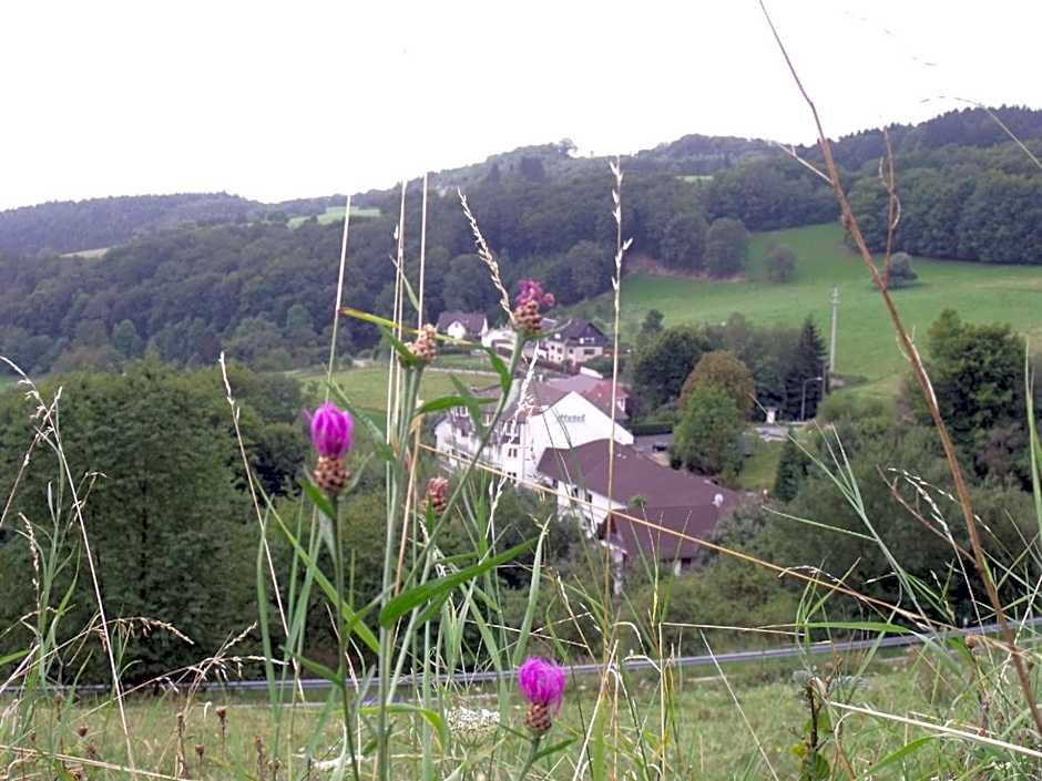 Hotel Zur Engelsburg