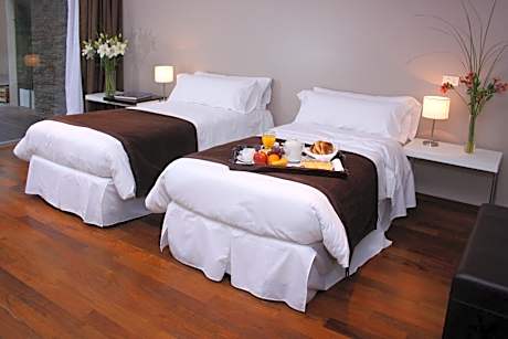 Large Double or Twin Room