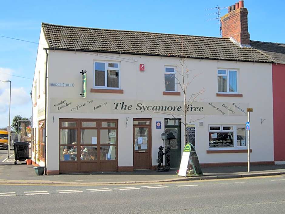 The Sycamore Tree