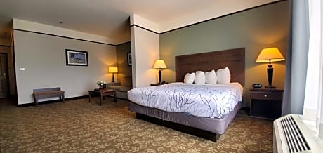 Suite-1 King Bed Non-Smoking Sofabed Jetted Tub Wi-Fi Walk In Shower
