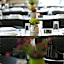 Princessa Hotel