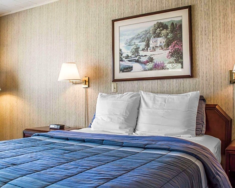 Rodeway Inn Marshall Manor Horseheads