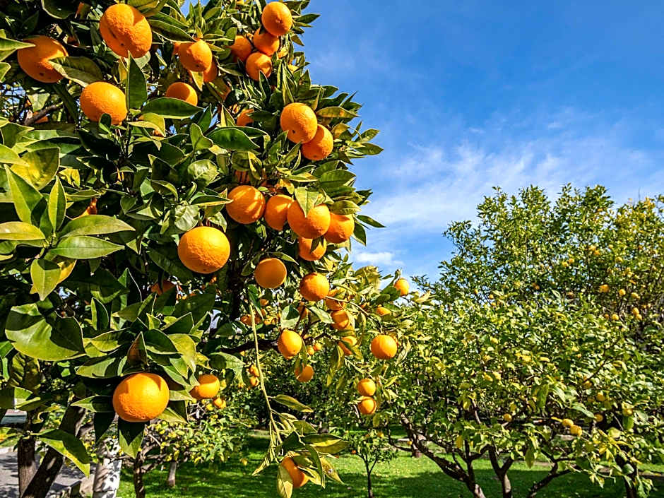 BreakFree Peninsula Surfers Paradise