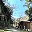 YAMAYA BASE 2