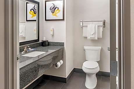 Standard King Suite - Non-Smoking