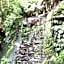 Surat Bay Lodge by the Sea/Backpackers Hostel