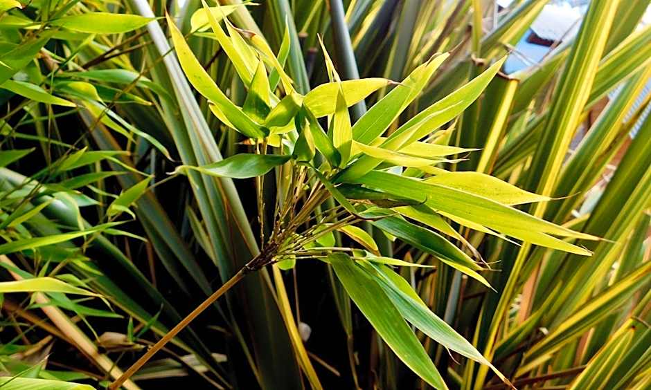 43 Degrees Bruny Island