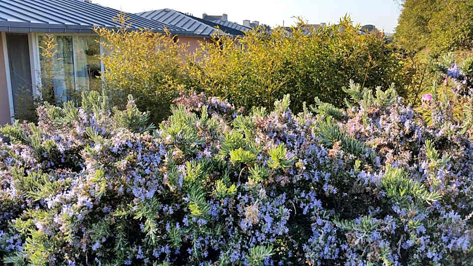 Résidence de Nodeven