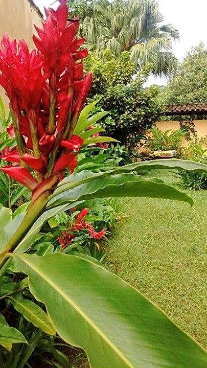 Pousada Refugio Port Sahy