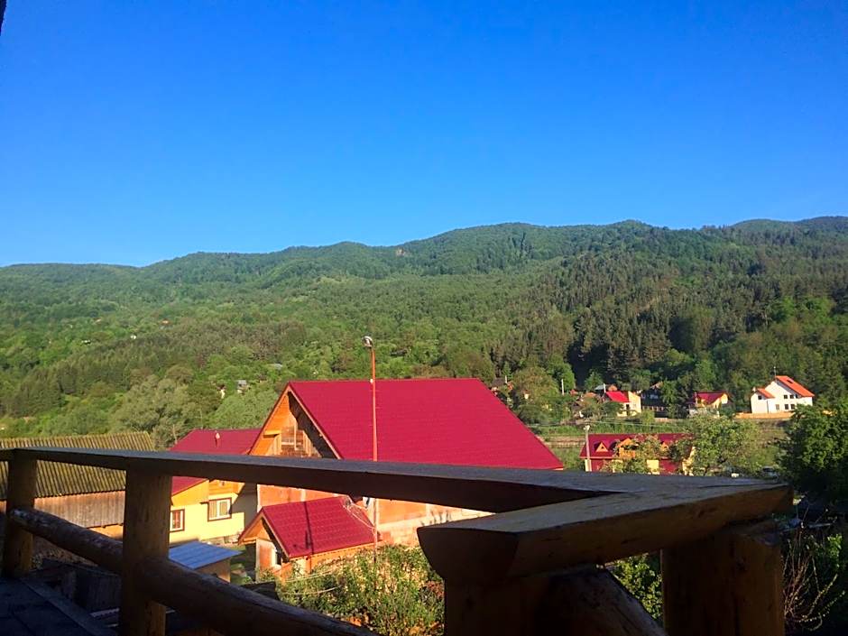 Casa de Vacanta Neagu