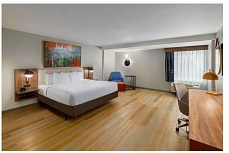 1 King Bed, Mobility Accessible Room with Roll-In Shower, Non-Smoking