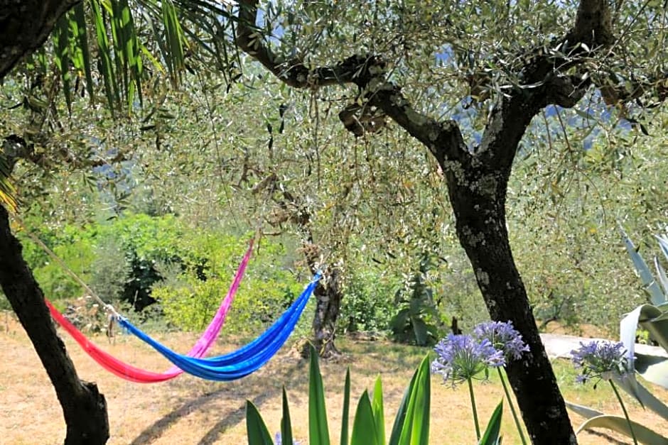 La Fattoria di Nonna Eugenia