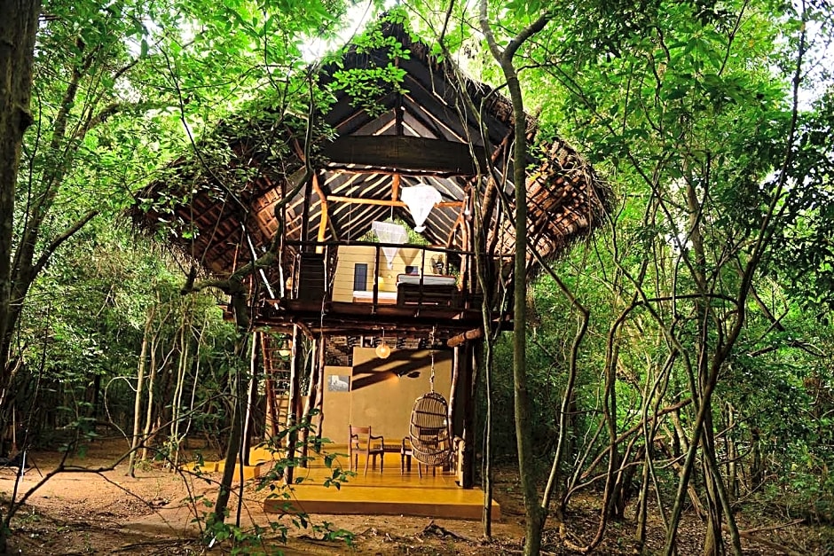 Back of Beyond Pidurangala