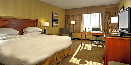 Premium Two-Bedroom King Suite