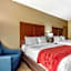 Comfort Inn & Suites Mccomb