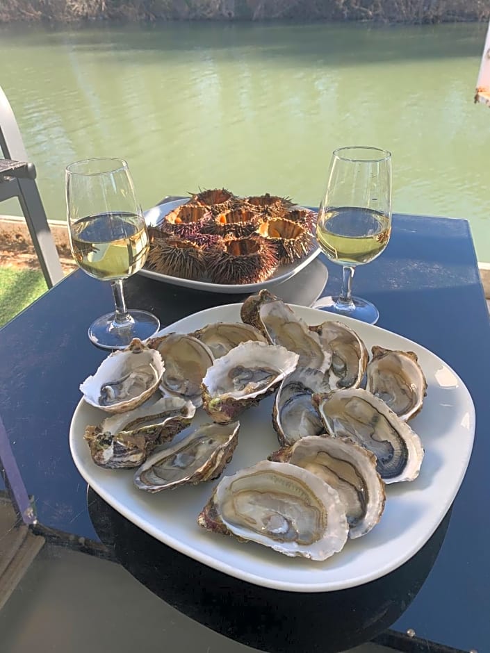 Péniche Le Pescalune - Chambre d'hôtes