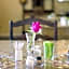 Melkbosstrand Bed and Breakfast