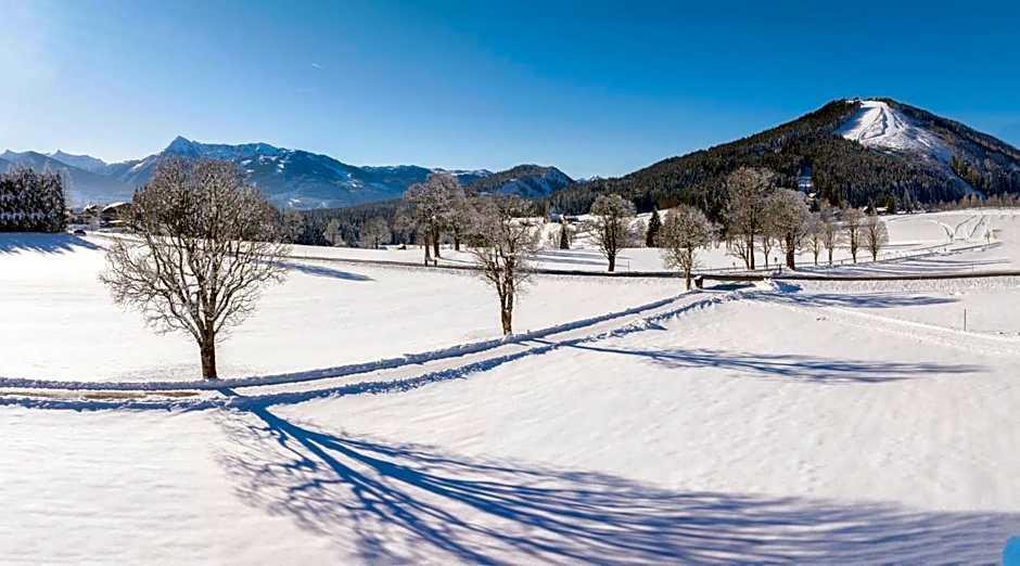 Almfrieden Hotel & Romantikchalet