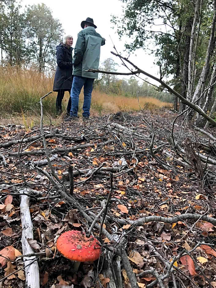 Hotel Restaurant In d'Ouwe Peel