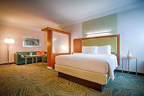 Suite, 1 King Bed with Sofa bed (1 King Bed and 1 Double Sofa Bed)