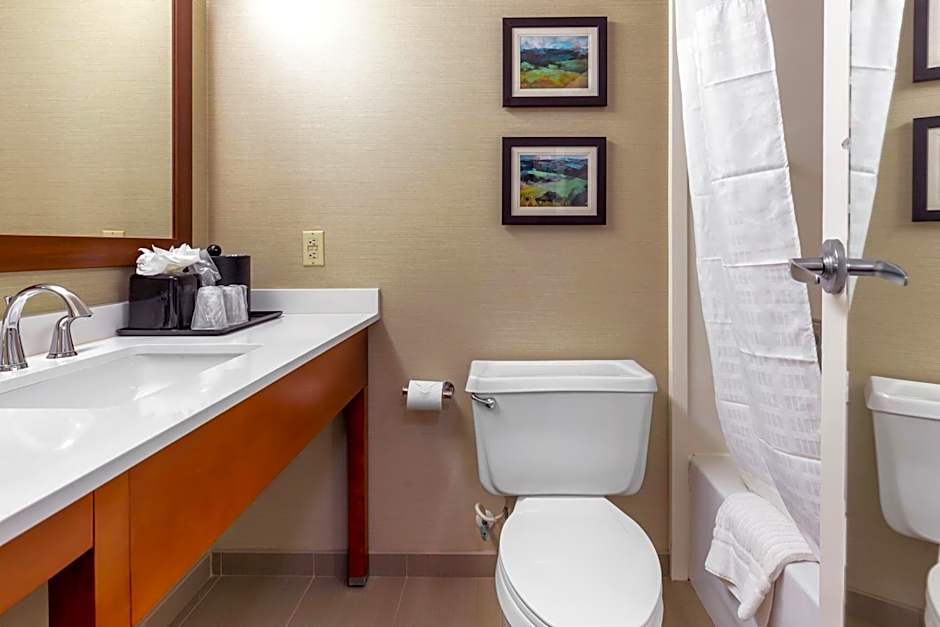 Comfort Inn University Durham - Chapel Hill