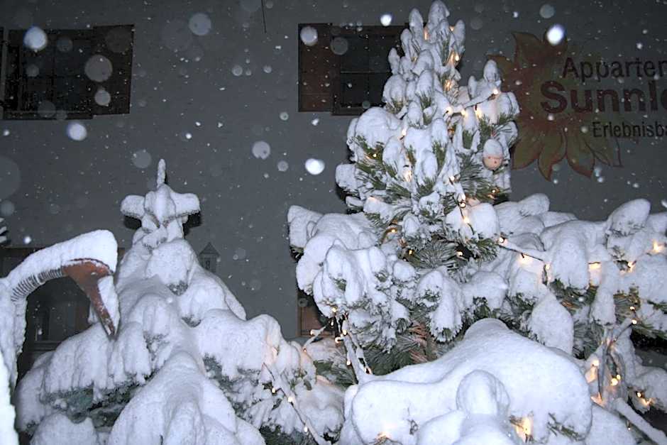 Appartement Sunnleitn