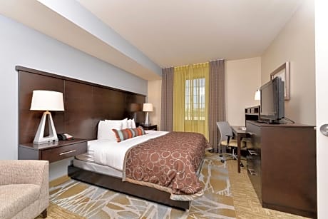 Executive One-Bedroom King Suite