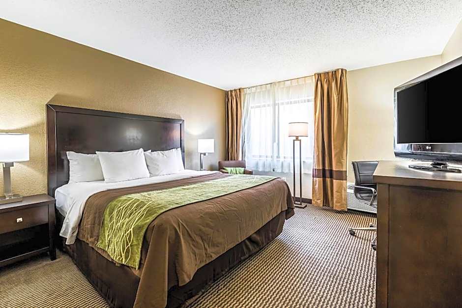 Comfort Inn Detroit Downtown