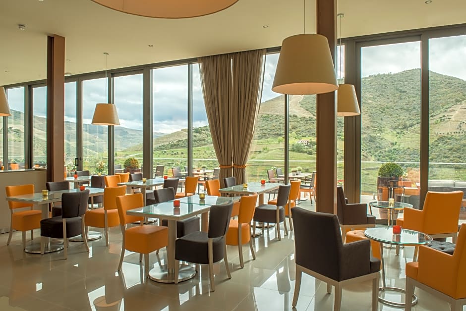 Vila Gale Douro Vineyards