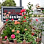 Rose Garden Inn