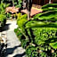 Esencia Hotel and Villas - near the Beach -