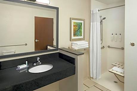 Studio with King Bed, Roll-In Shower and Sofa Bed - Mobility Access/Hearing Accessible