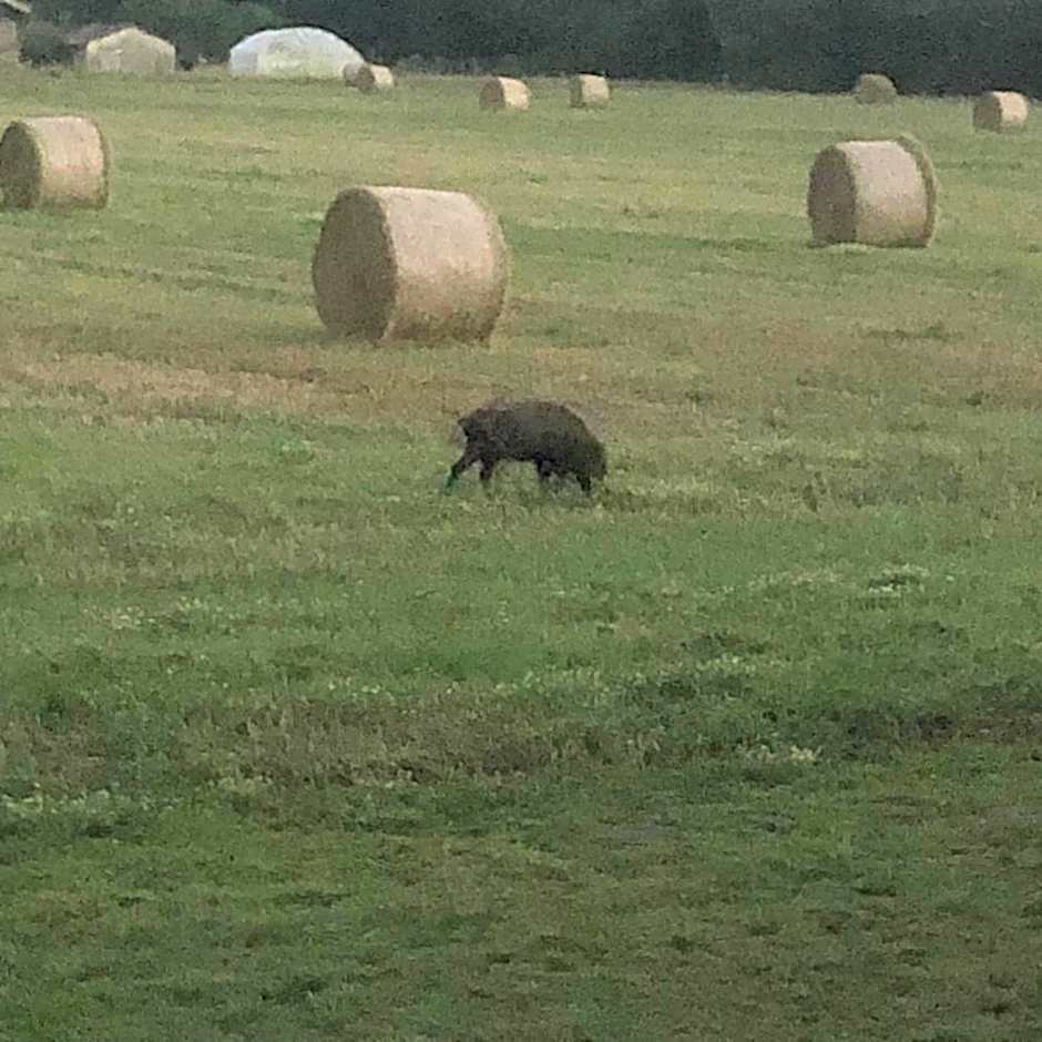 la maison des ateliers