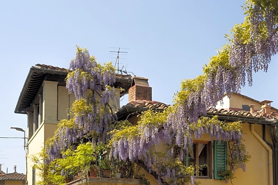 B&B Le Cannelle Fiesole