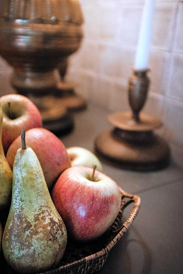 Monte da Bela Raposa